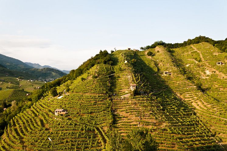 Valdobbiadene Hills