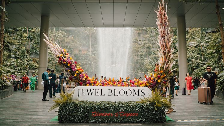 Jewel Blooms 2023