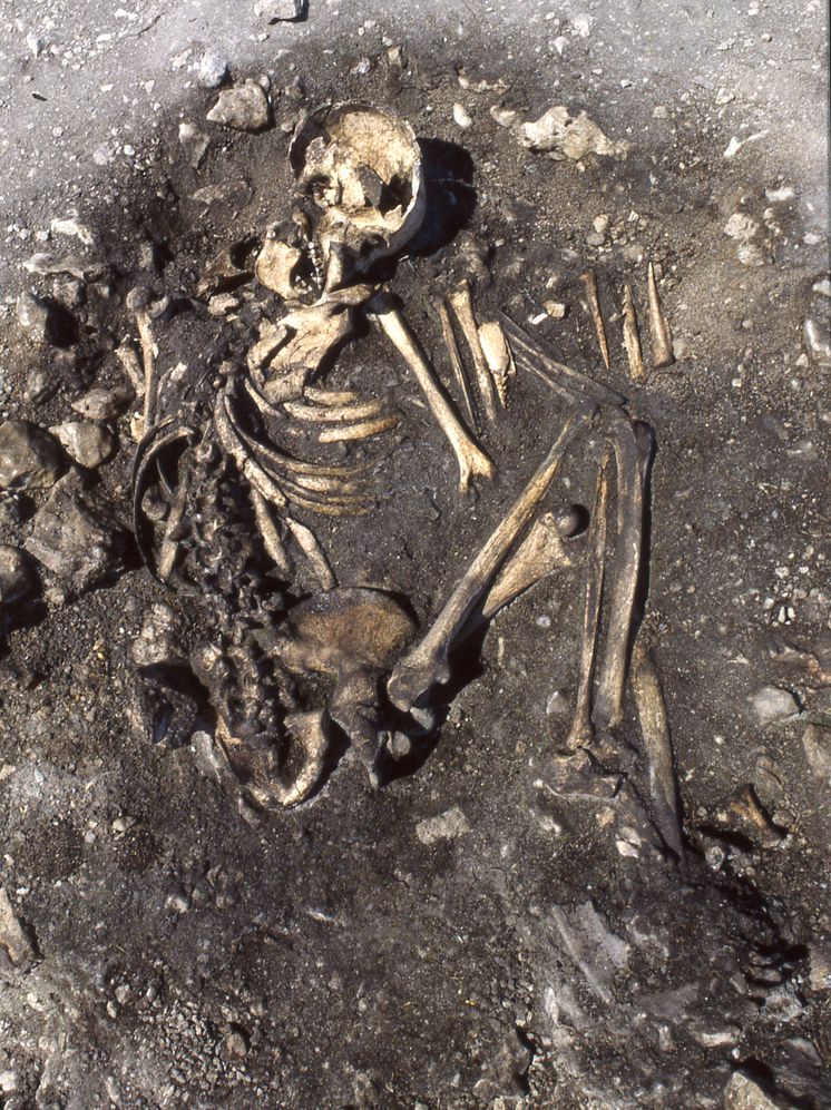 Grave influenced by Battle Axe culture