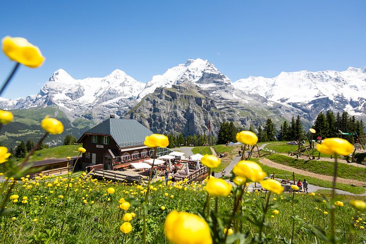 Allmendhubel, Mürren