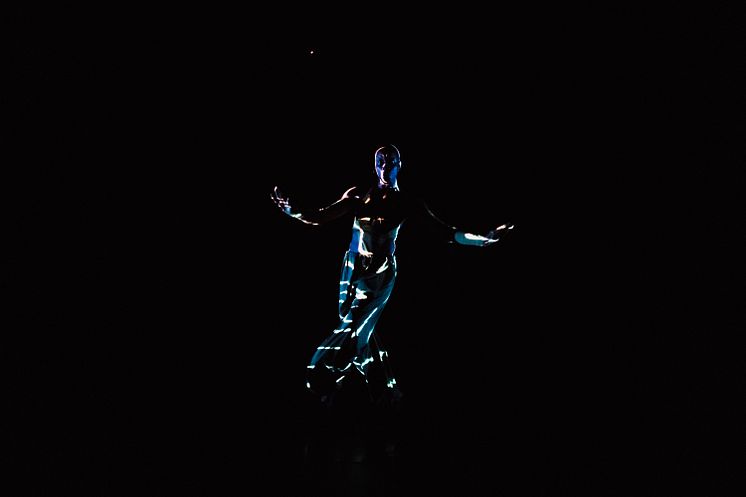 Company Nicolas Huchard - The barefoot diva