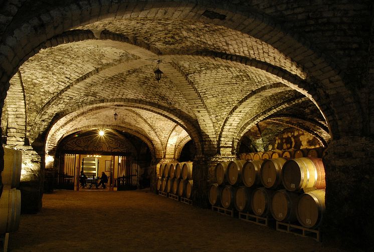 VsP Cellar