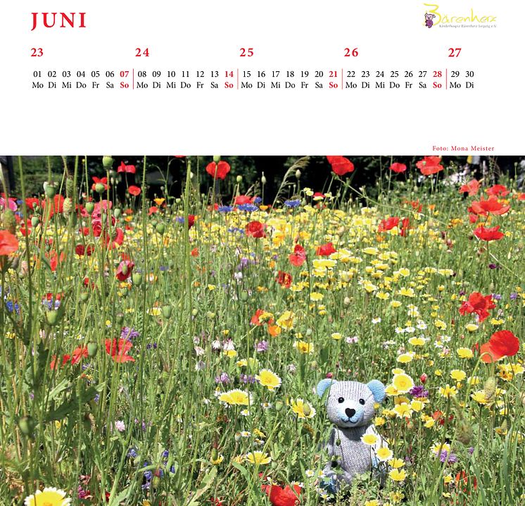 Bärenherz-Kalender 2015: Jeder Monat präsentiert bunte Strickbärchen in Aktion