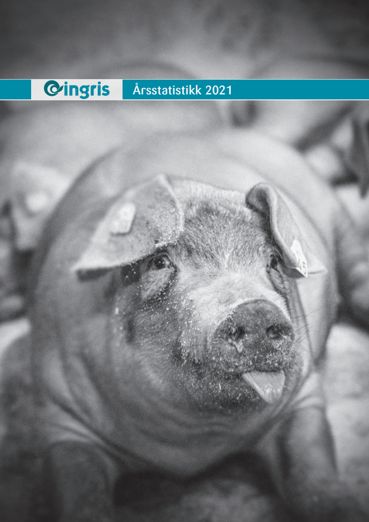 Årsstatistikk 2021.pdf