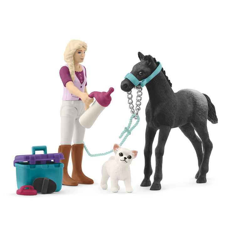 42755_POCKET SET_Horse Grooming Playset with Appaloosa Foal (c)schleich®
