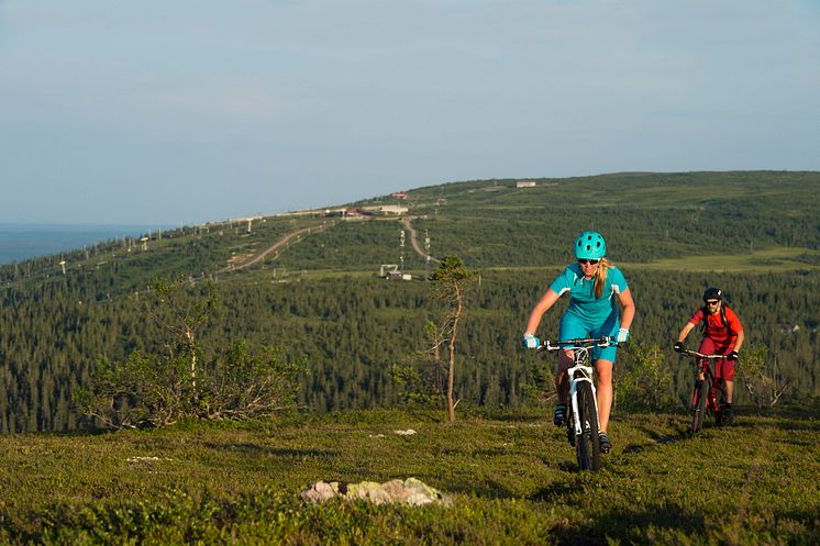 Cykla på fjället