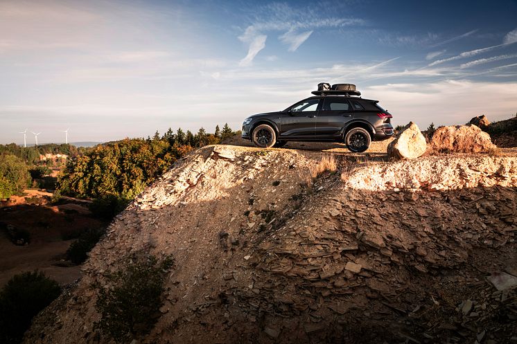 Audi Q8 e-tron edition Dakar