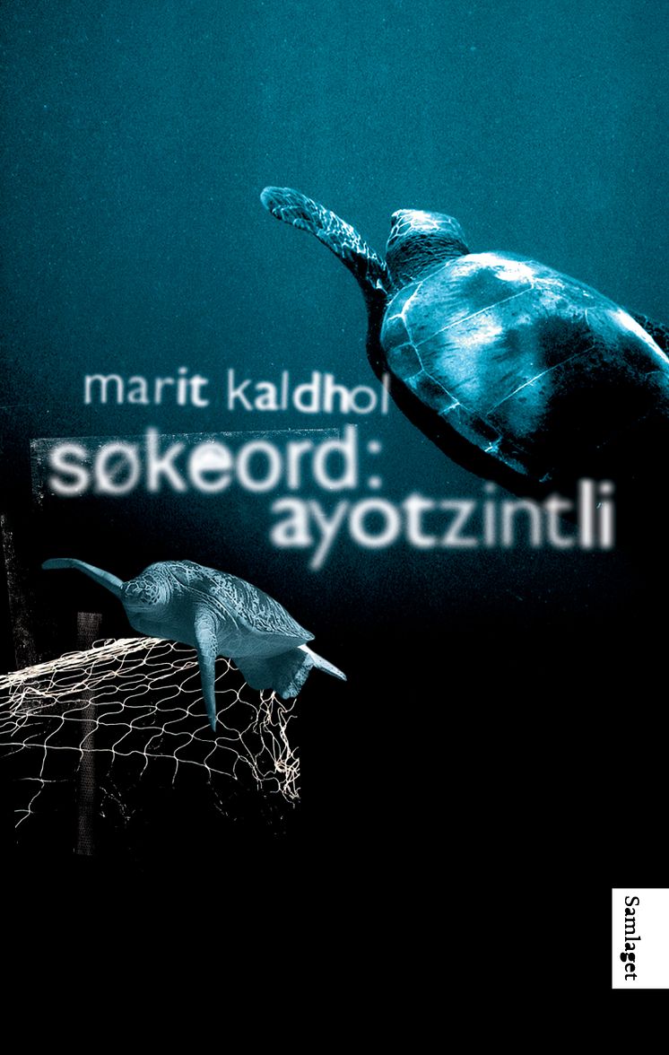 Søkeord ayotzintli