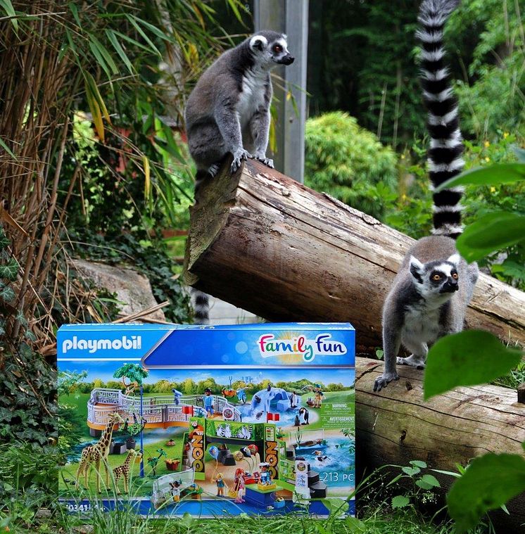 Tierischer Spielspaß im Zoo in der Wingst