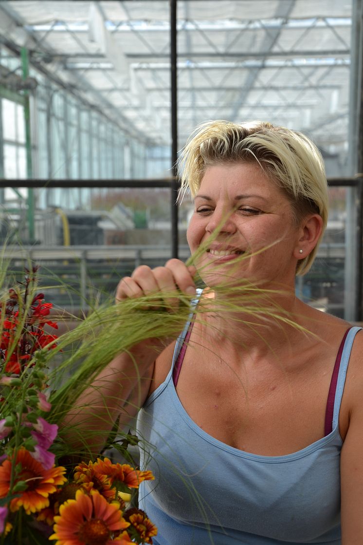 Trädgårdsmästare Neringa Krisciuniene på Ingla Blommor odlar Trädgårdsfägring