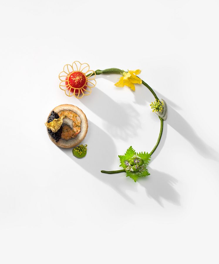 Bocuse d'Ord Europe 2020, Estnisk Havskatt