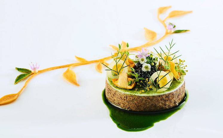 Bocuse D'Or - Norway Team 2020 - Catfish plate - Photo Tom Haga.jpg