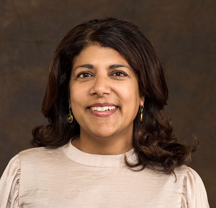 Professor Aarti Gupta from Wageningen University