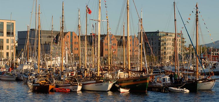 Small craft harbour in Bodø- Photo - Ernst Furuhatt - www.nordnorge.com 