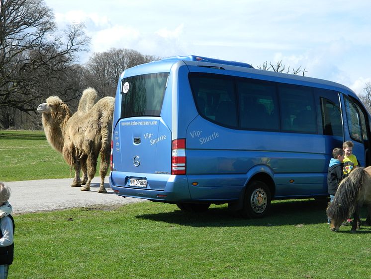 Destinationen in Dänemark – Knuthenborg Safaripark