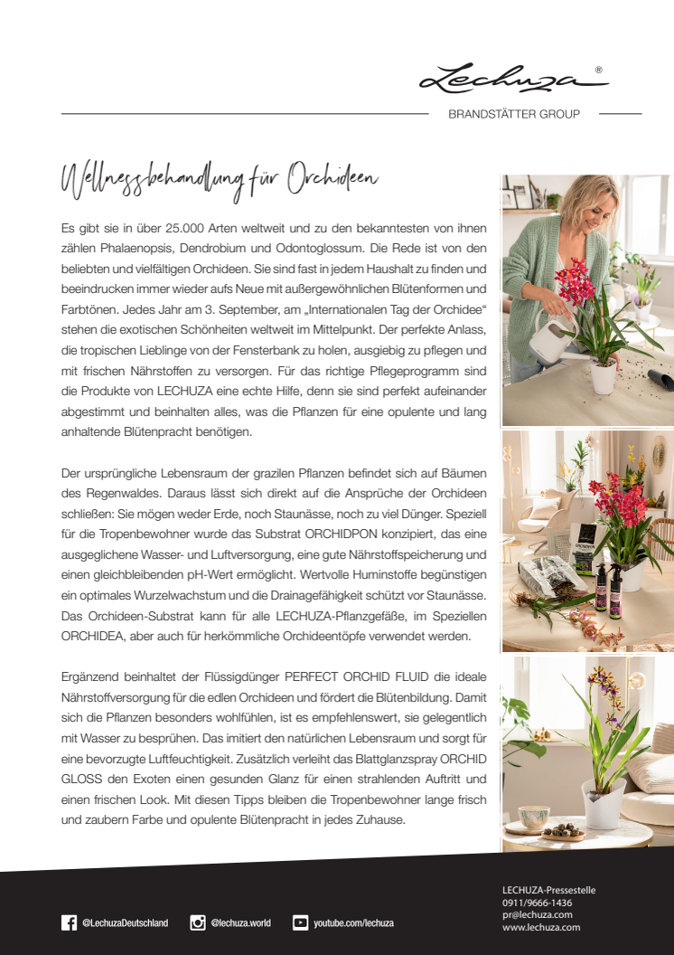 Wellnessbehandlung für Orchideen