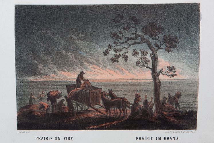 Prairie on fire ur "Das illustrirte Mississippithal"