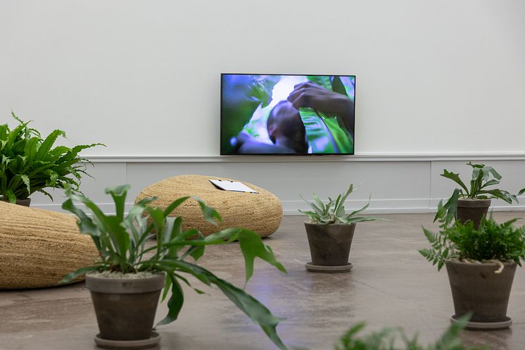 Zheng Bo, Pteridophilia 2, (2018). The Future is ____. 24.09.2022-05.03.2023. Foto: Lili Zaneta / TKM.