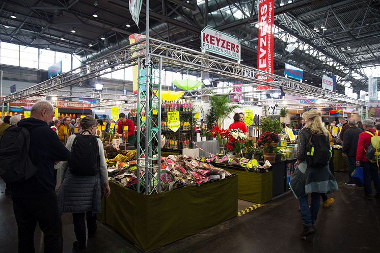 Haus-Garten-Freizeit Leipzig - Foto: Elli Flint 