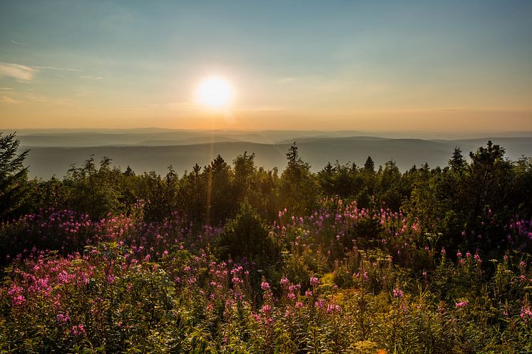 Sunset from Fichtelberg 1215 meters above sea level near Oberwiesenthal (1)_Foto_TVE-Greg_Snell_snellmedia.com.jpg