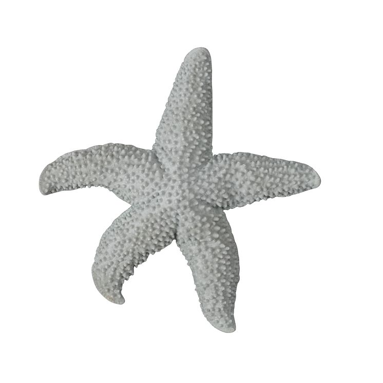 609-069g SEA STAR MANDY