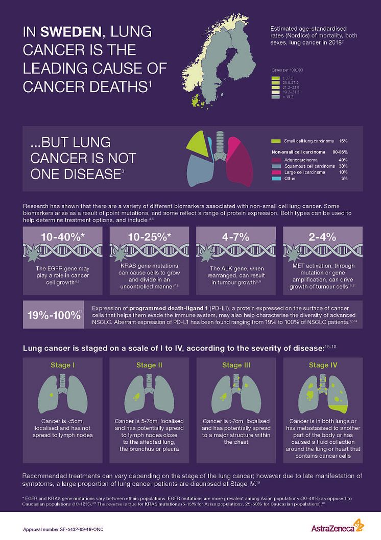 Lungcancer_infografic_Sweden_Nordic_facts_ENG_Page_1