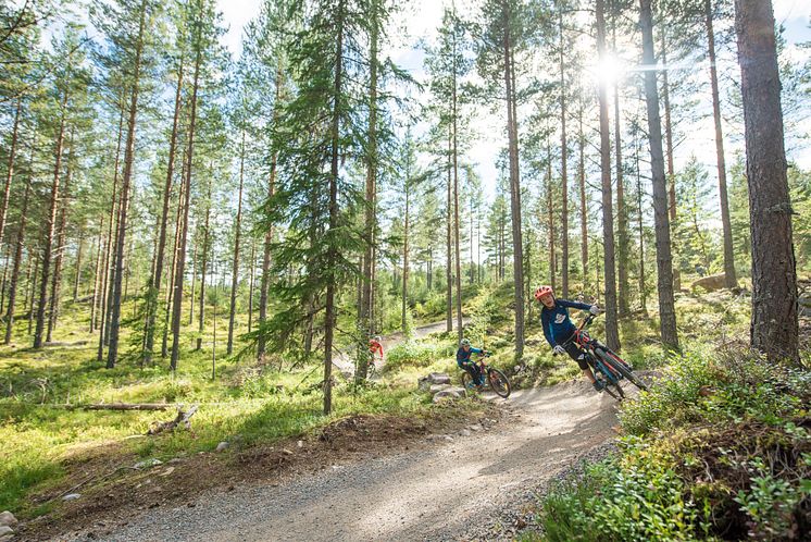 Må fortsette utviklingen