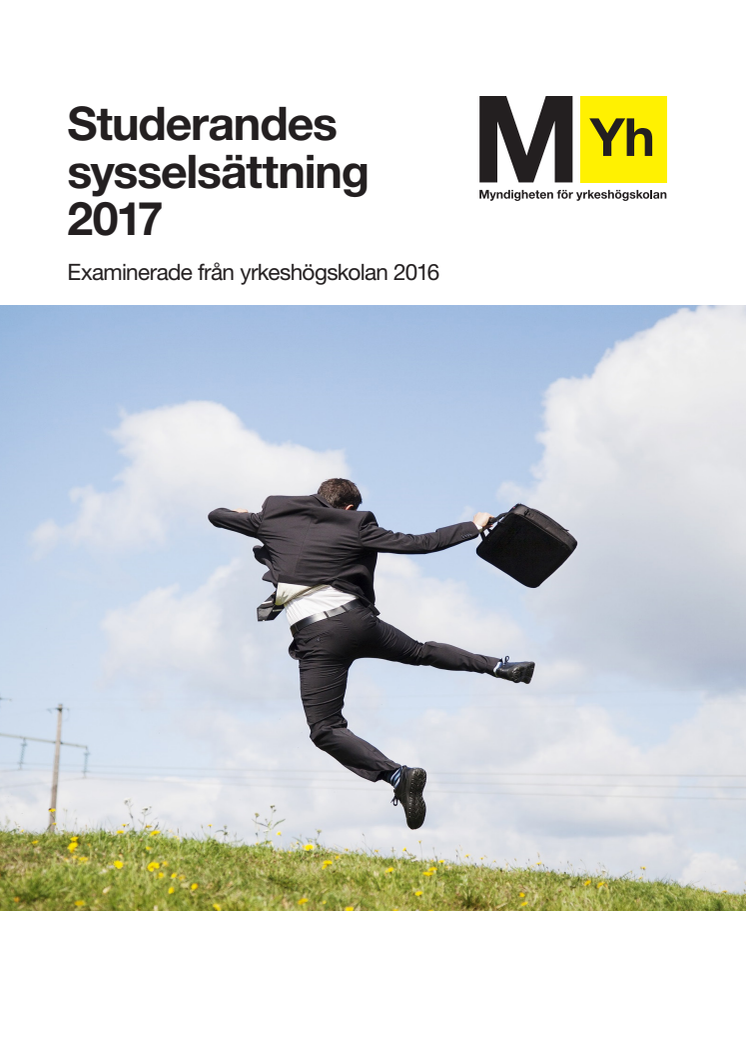 Studerandes sysselsättning 2017