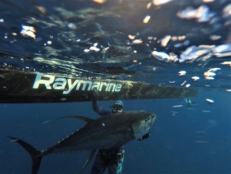 High res image - Raymarine - Fish Tales