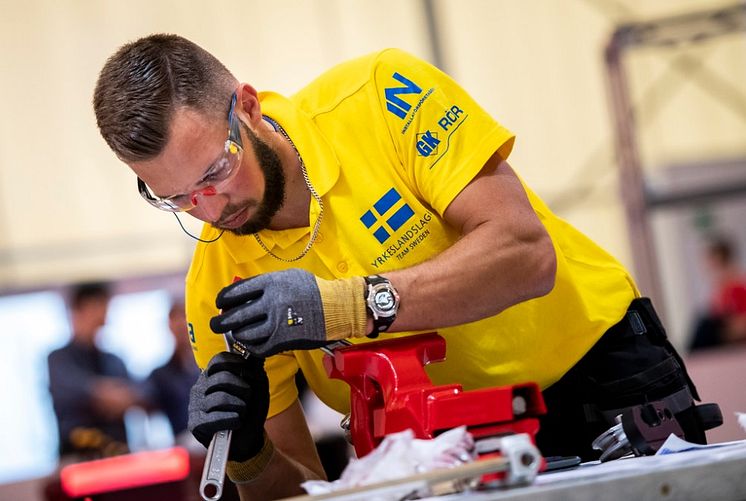 Anton Hasenstrauch. WorldSkills2019.