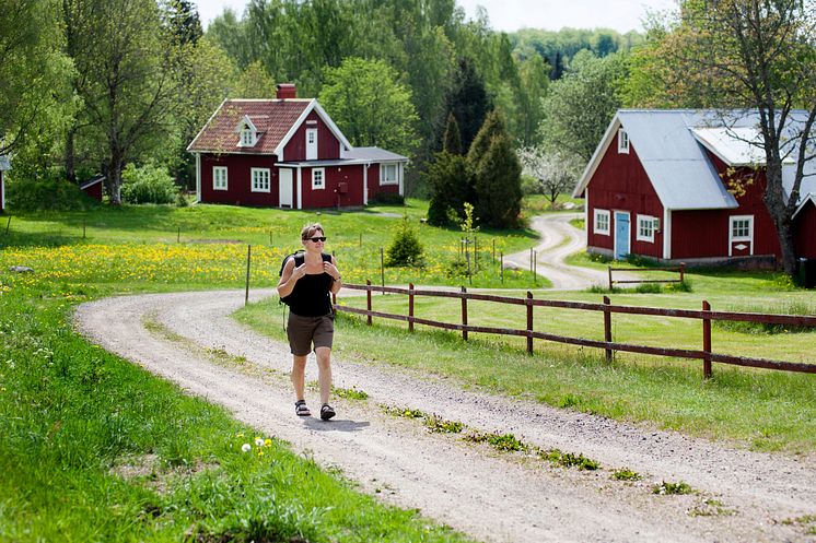 Vandring i södra Småland