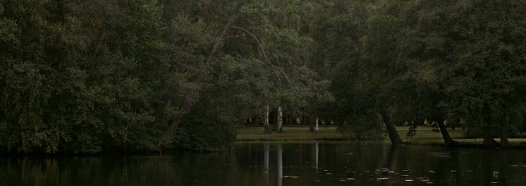 Lars Nilsson, Park II (2011).