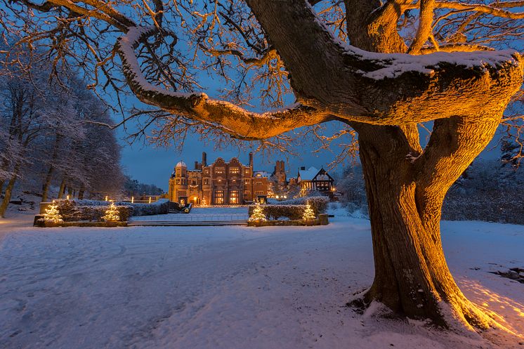 Slottet i vinterskrud. 