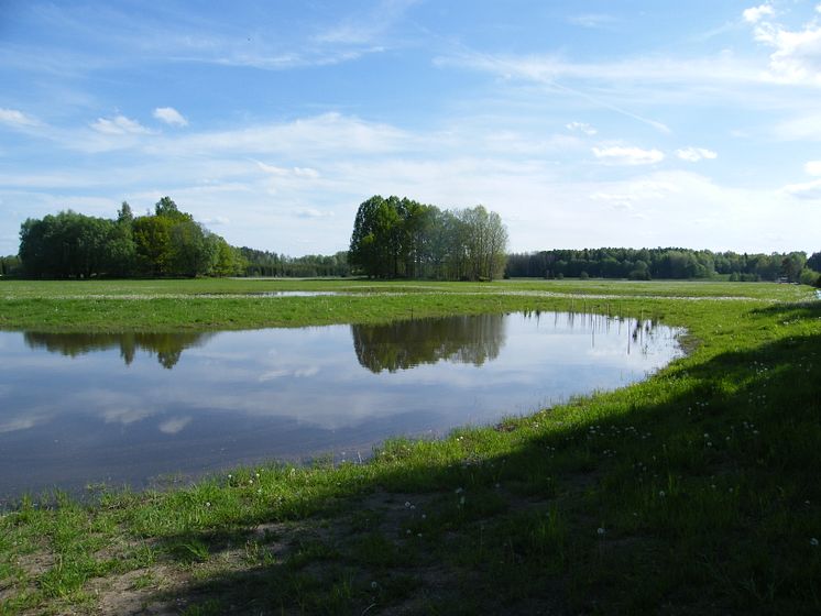 Nya dammar till fridlysta salamandrar