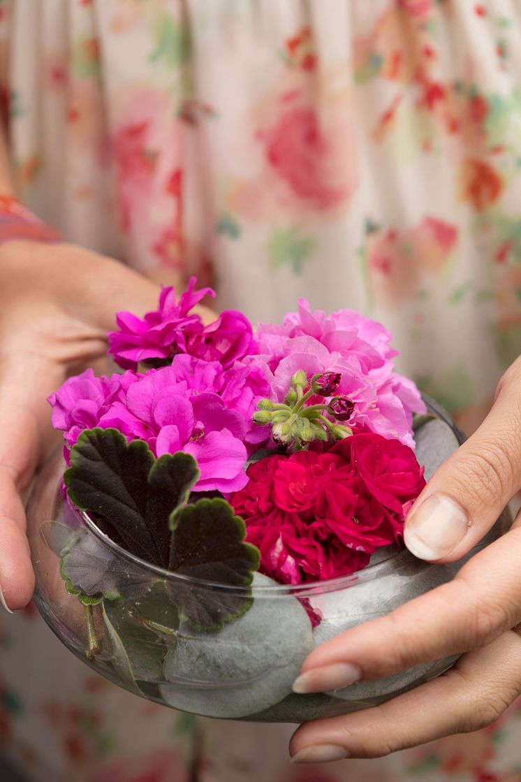 Dekorationer med pelargoner.