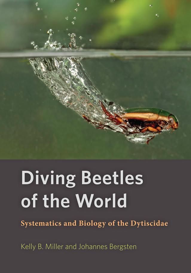 Bokomslag Diving Beetles of the World