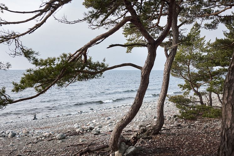 2404_LinumMiljöbilder_154.jpg