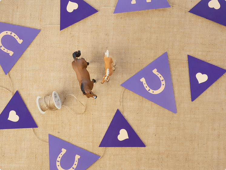 Kindergeburtstag_Horse Club_Girlande