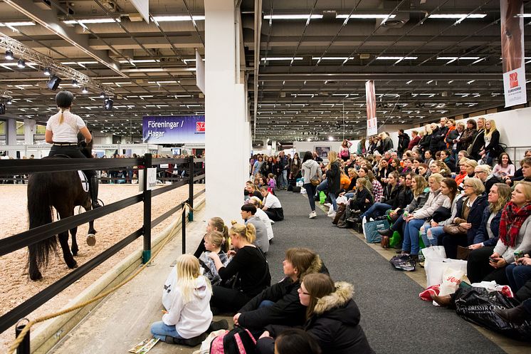 Hästuppvisning på EuroHorse 2015