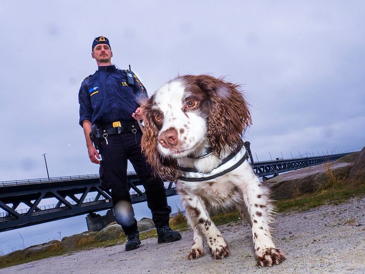 Zak är Årets narkotikasökhund igen!