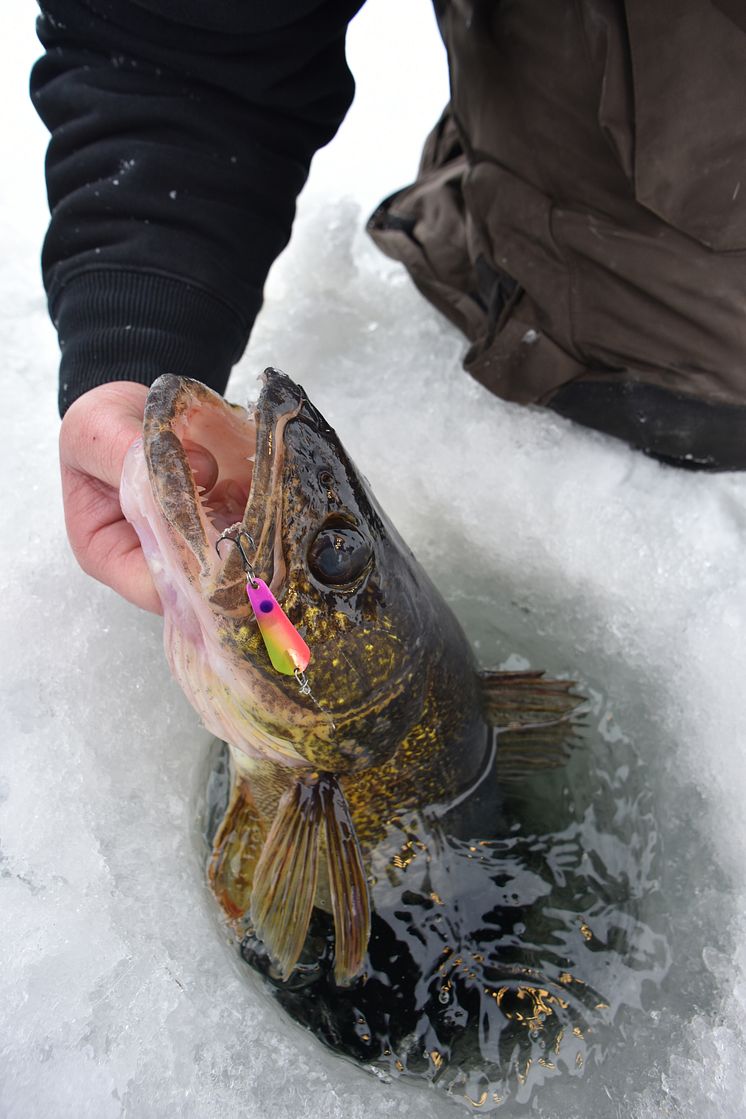 High res image - Raymarine - Ice Fishing Kit