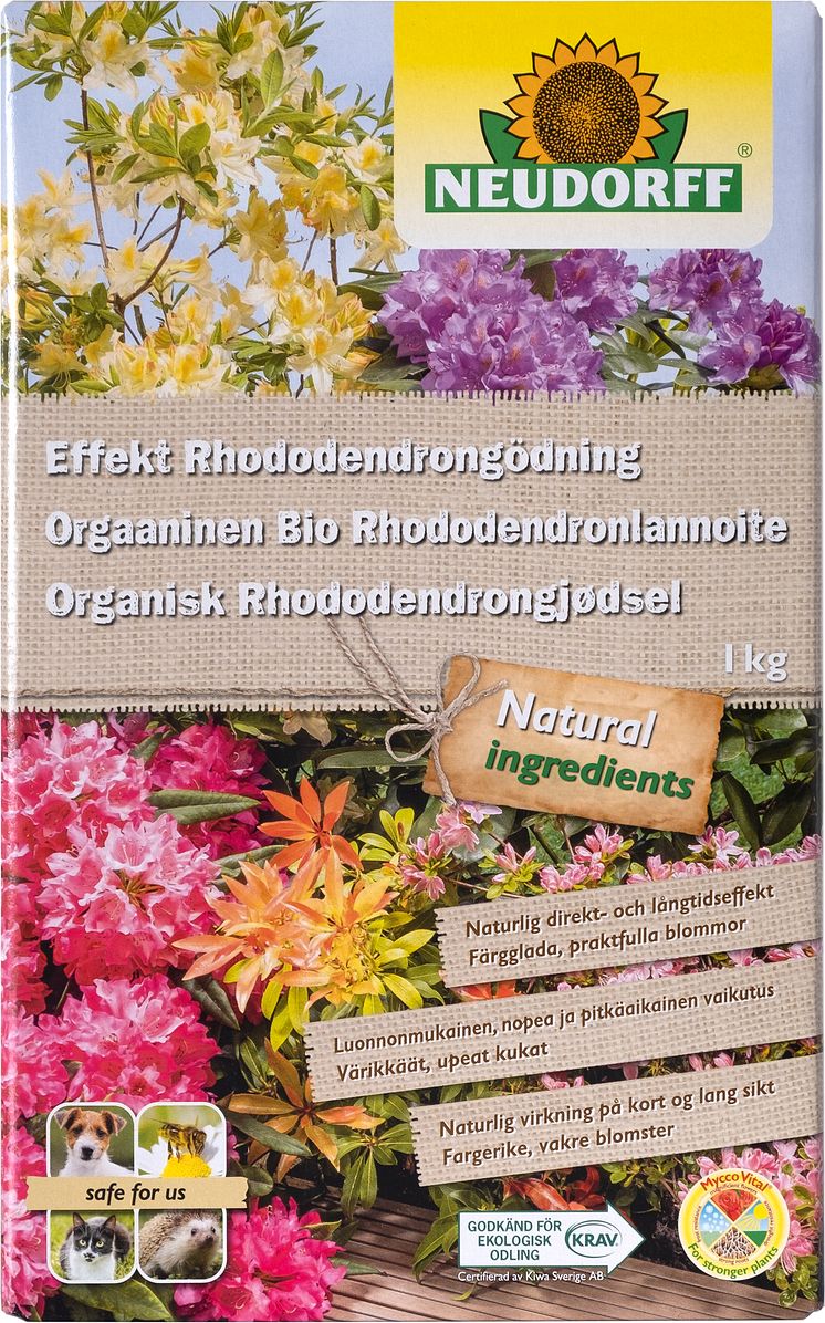 31149_Rhododendron.jpg