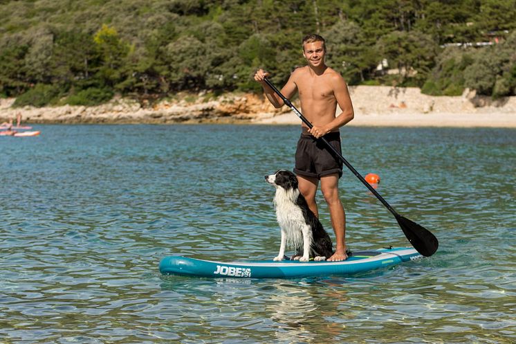 Fressnapf Sommer Hund 1.JPG