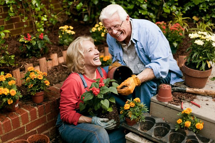 doc_Sommer im Garten_iStock-665623672