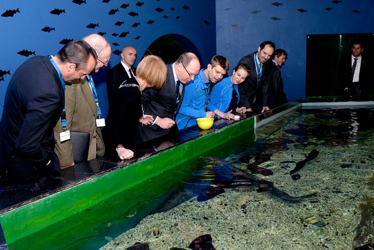 HSH Prince Albert visits the attraction centre Polaria