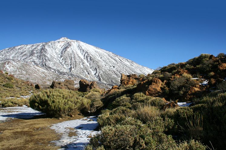 Nationalparken Teide