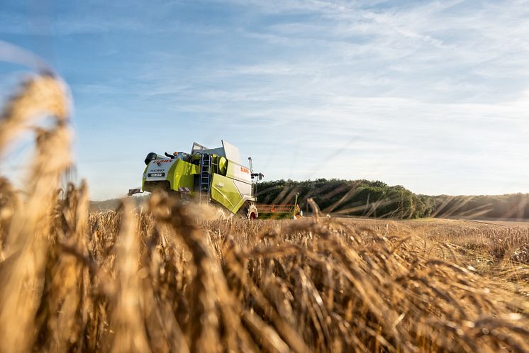 PM-Årsregnskab-Danish-Agro-2019