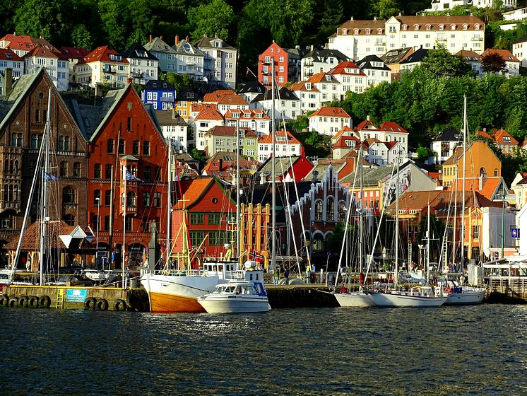 Bergen-BIrN1pkBBng-unsplash.jpg