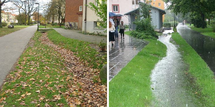 svackdike_torrt_regn