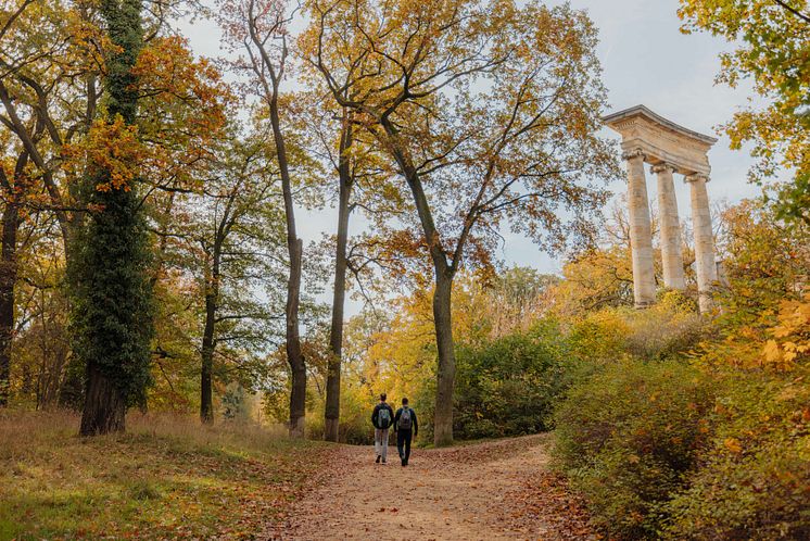 Potsdam Herbstauszeit (c) PMSG SPSG Julia Nimke.jpg